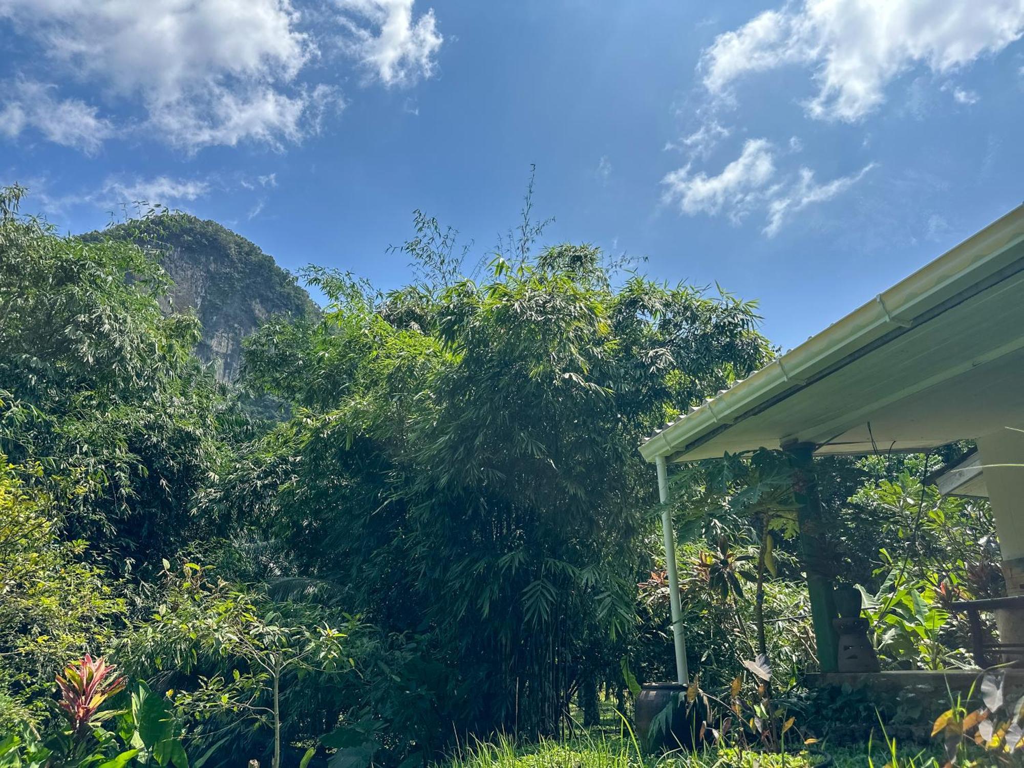 Baan Suanthip Homestay - Aoluek Natural Retreat Ao Luk Exterior photo